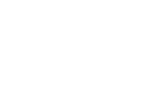 OptimasMAX